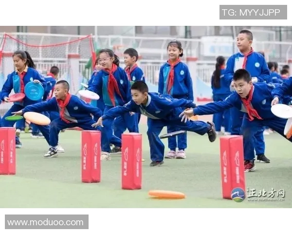 刘静独家分享飞盘技巧与心得体会助你轻松掌握这项运动的乐趣与魅力