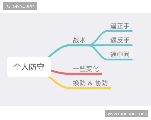 北京飞盘队控制打法深度解析与战术运用探讨