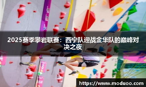 DB视讯真人