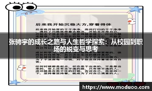 DB视讯真人