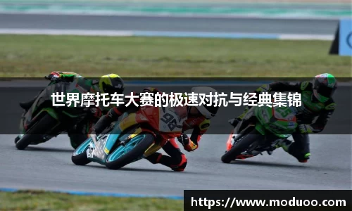 DB视讯真人