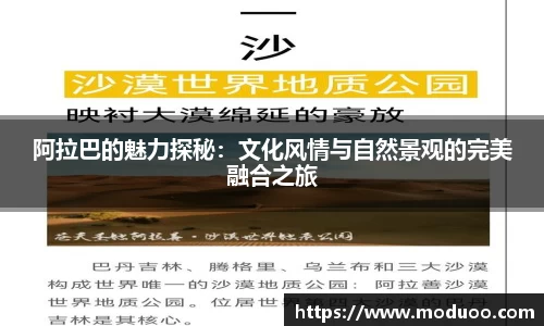DB视讯真人